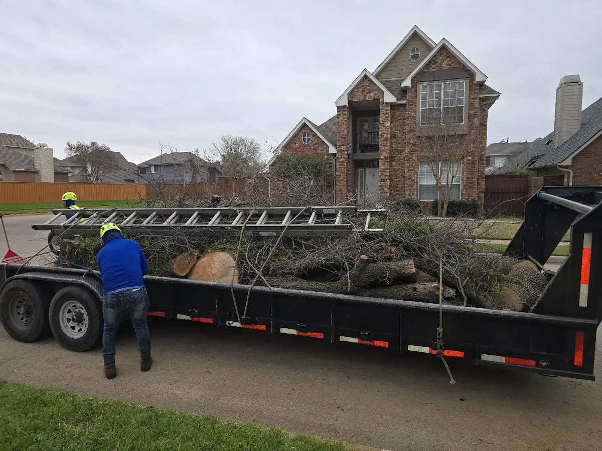 Expert Tree Removal with proper safety equipment in West Baldwin